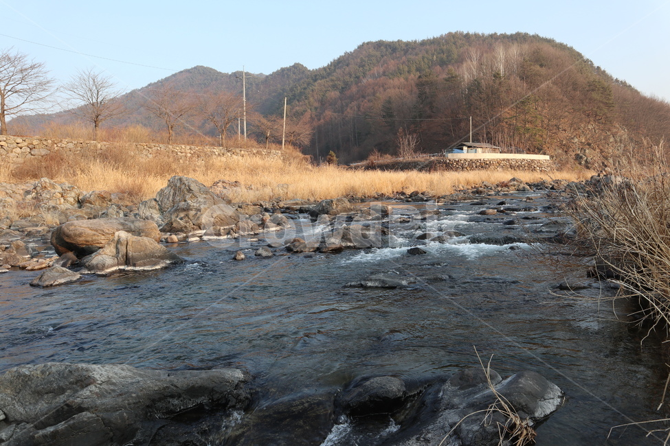 풍경,산,시골,갈대,물,바위,개울,개천,강,가을,mountain,brook,rock,reed,autumn,ruralarea,농촌,자연,풍경,nature,landscape,water,outdoors,옥외