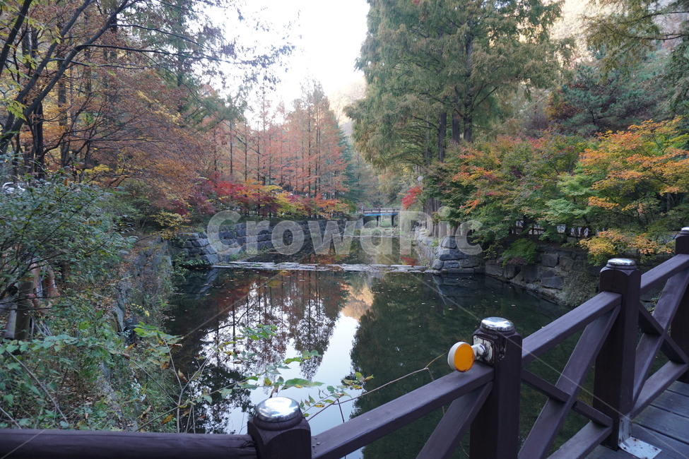 handrail,물,난간,banister,water,자연,풍경,nature,landscape,식물,plants,나무,trees,wood
