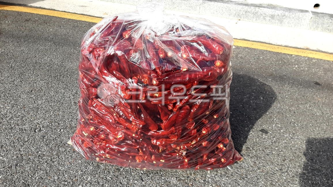 pepper,Add,red pepper,Agricultural products,crops,For seasoning,ingredients,floor,vinyl,roadside,dry,packaging,asphalt,spicy,food,Red,dried pepper,red pepper sales,Kimjangyong