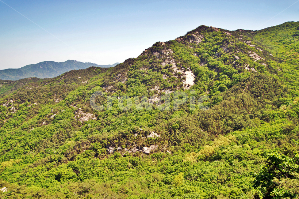 관악산,바위,기암괴석,능선,산,등산,봉우리,숲,신록,자연,풍경,nature,landscape,한국자연풍경,한국자연경관,korea nature landscape,outdoors,옥외,hill,언덕