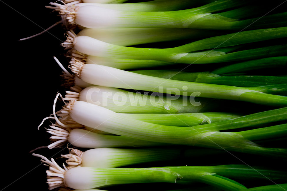 파,야채,채소,재료,greenonion,음식,식재료,요리,food,cook,meal,dishes,food reserves,채소,야채,vegetables