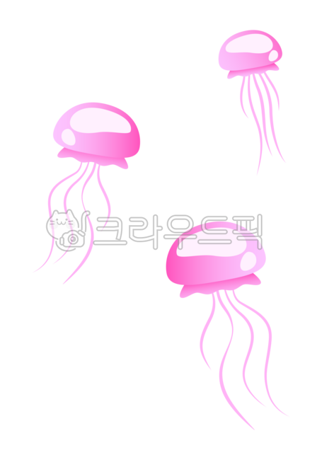 해파리,바다생물,해파리일러스트,일러스트,해양생물,바닷속,해파리떼,해파리그림,투명해파리,물컹한동물,수중생물,바다동물,해파리수영,해파리촬영,바다속장면,심해생물,해양풍경,여름바다,바다일러스트,해양소재,해파리유영,자연일러스트,분홍색,jellyfish,illustration,graphic