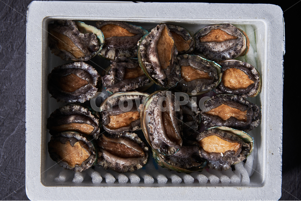 전복,seafood,해산물,clam,갑각류,음식,식재료,요리,food,cook,meal,dishes,food reserves,수산물,해산물,fishery products,seafood
