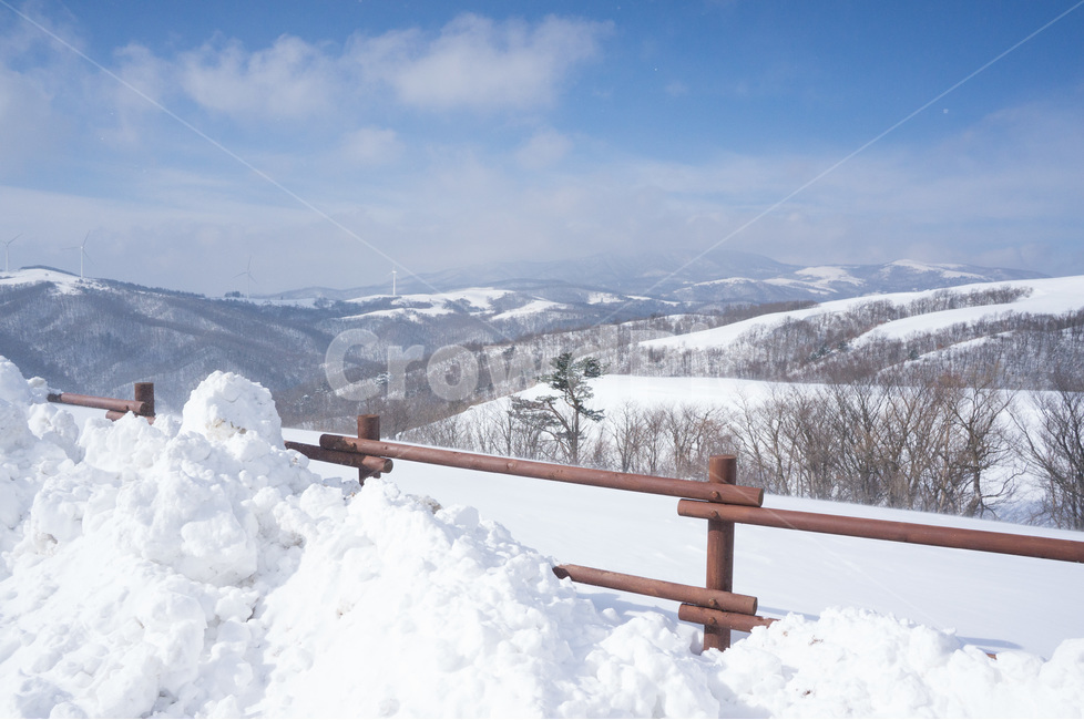 대관령,양떼목장,삼양목장,눈,겨울,설경,snowkoreawinter,계절,season,자연풍경,naturelandscape,한국자연풍경,한국자연경관,koreanaturelandscape,겨울,계절,winter,season,자연,풍경,nature,landscape,한국자연풍경,한국자연경관,korea nature landscape,outdoors,옥외