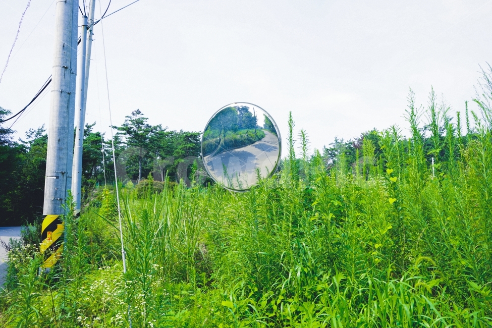 교통,휴식,힐링,여름,감성사진,자연풍경,여행,휴가,식물,자연,풍경,nature,landscape,교통,교통수단,traffic,transportation,sphere,구체