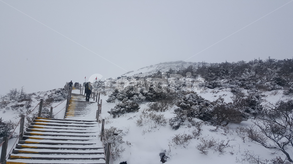 제주도,한라산,눈,등산,백록담