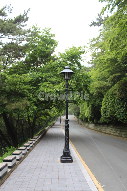 가로등,밝은길,산책로,태종대,수목길,자연,풍경,nature,landscape
