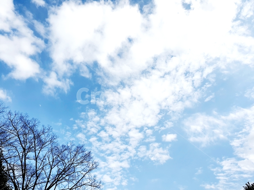 자연,nature,푸른하늘,하늘,옥외