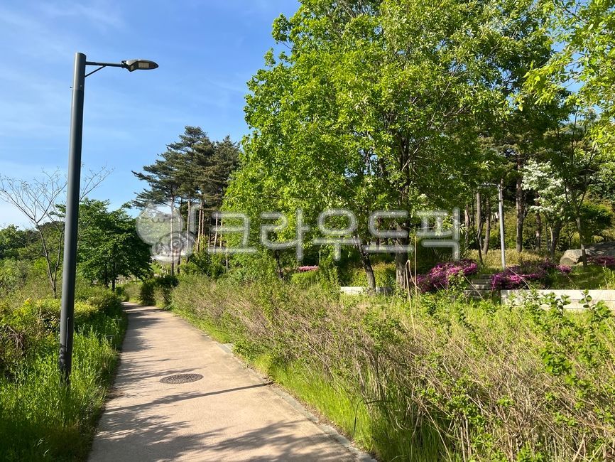 sky,cloud,trail,nature,colonnade,tree,walking path,garden,Street lamp