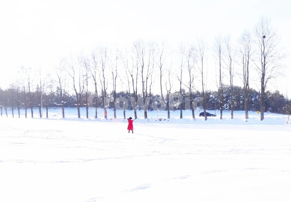 눈밭,눈,겨울,나무,분위기,겨울,계절,winter,season,자연,풍경,nature,landscape,사람,인물,인간,human,person,outdoors,옥외