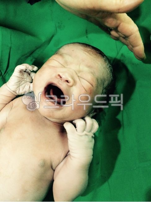 신생아,아기,갓태어난,산부인과,baby,사람,newborn,person,인간