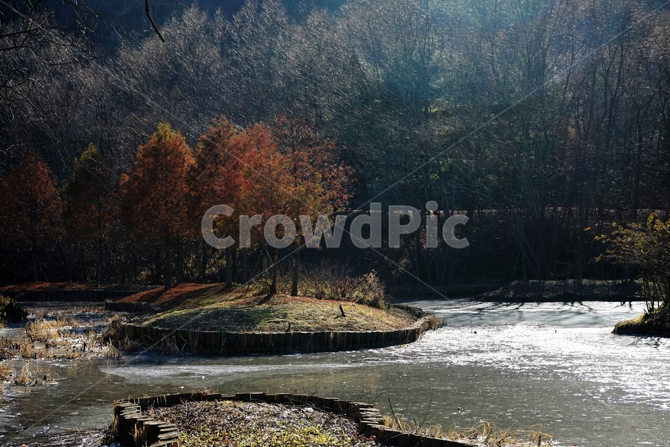 겨울,나무,연못,공원,얼음,추위,winter,tree,pond,ice,park,garden,trees,cold,빛,그림자,season,감성,난지천공원,마포,woods,branch,leafless,plant,식물,nature,자연,outdoors,옥외,water,물