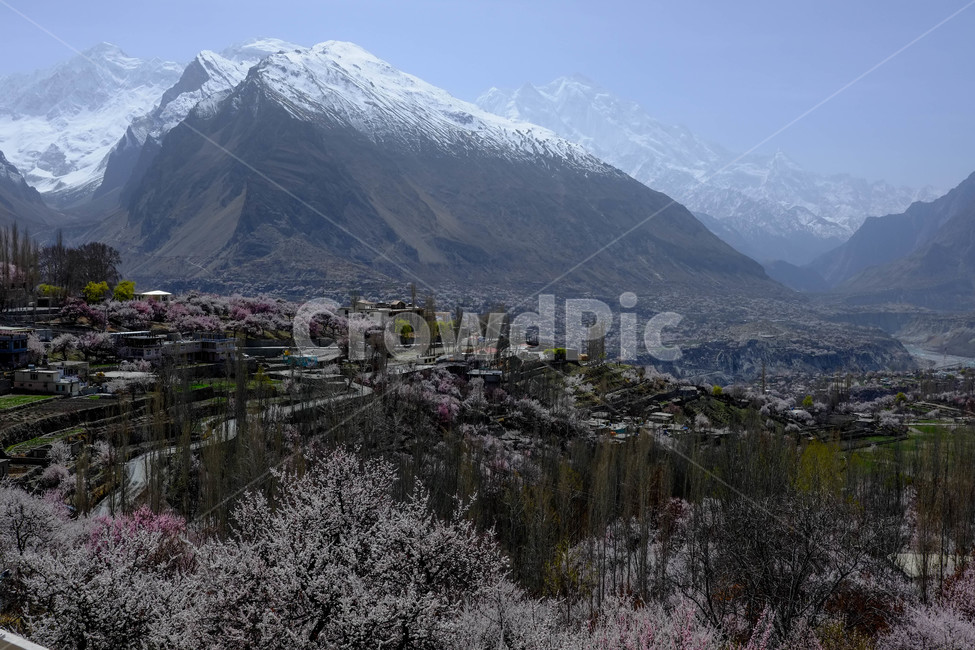 파키스탄,히말라야,훈자,자연,풍경,설산,hunza,계곡,협곡,산,파키스탄훈자,훈자마을,봄,꽃,절벽,자연,풍경,nature,landscape,해외,외국,세계,foreign,oversea,world,세계자연풍경,해외자연풍경,외국자연풍경,world nature landscape,outdoors,옥외,mountain,mountain range,산맥,slope,경사