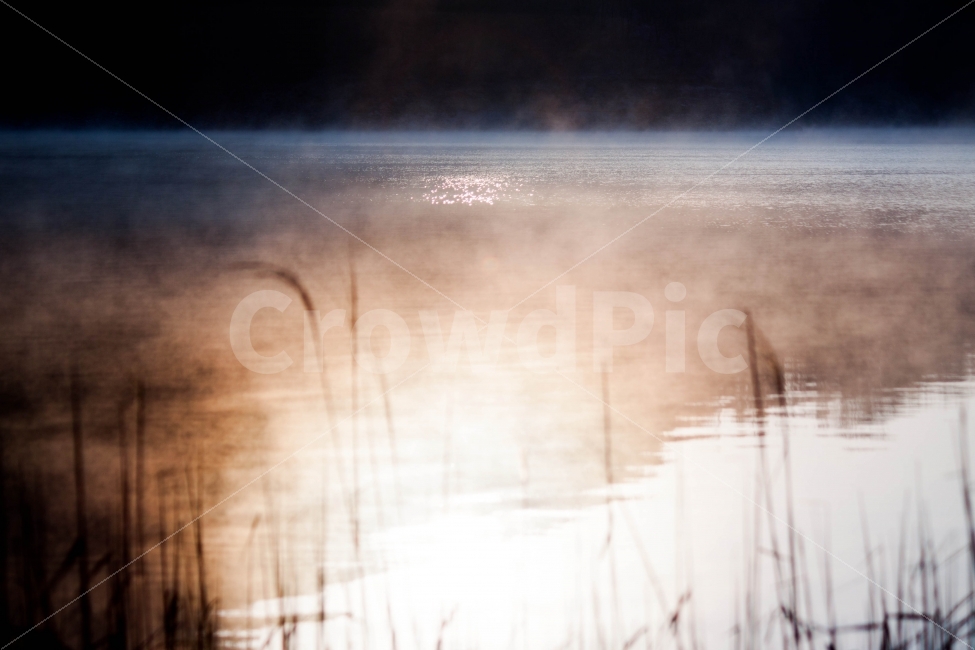 자연,풍경,호수,물안개,안개,아침,새벽,자연사진,풍경사진,반영,햇빛,일출,nature,landscape,lake,fog,smog,reflection,reflect,mirror,sun,sunlight,sunrise,자연,풍경,nature,landscape,한국자연풍경,한국자연경관,korea nature landscape,감성,sensible,feeling,휴식,힐링,rest,relaxation,healing,grass,잔디,plant,식물