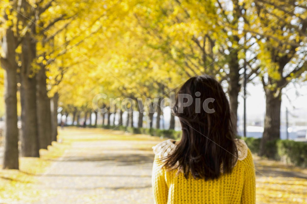 가을,여자,여인,은행나무,은행나무길,러브,하늘,선글라스,노랑,lady,women,감성사진,여행,나무,힐링,공원,park,소녀,계절,season,사람,people,모델,뒷모습,은행잎,풍경,도시,강,배경,단풍,선명한,화사한,fall,autumn,식물,자연,plants,nature,trees,wood,인물,인간,human,person,여성,woman,female,고독함,외로움,쓸쓸함,우울함,슬픔,lonely,solitarytreeplant,가을,계절,fall,autumn,season,사람,인물,인간,human,person,여성,여자,woman,female,lady