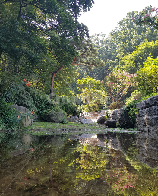 계곡,자연,풍경,거울같은,나무,물,자연,풍경,nature,landscape,water,outdoors,옥외
