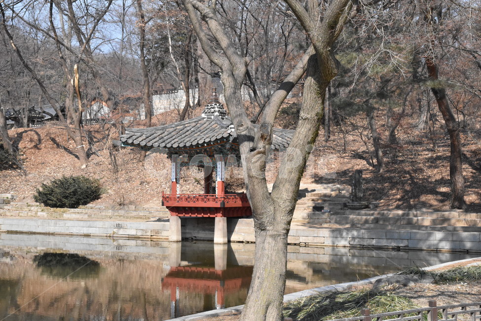 한옥,서울,창덕궁,대한민국,문화유산,정자,연못,Korea,wooden,Koreanstylehouse,pond,한국전통,한국문화,korean traditional,korean culture,랜드마크,landmark,tourist attraction,한국랜드마크,한국관광지,한국명소,korea landmark,korea tourist attraction
