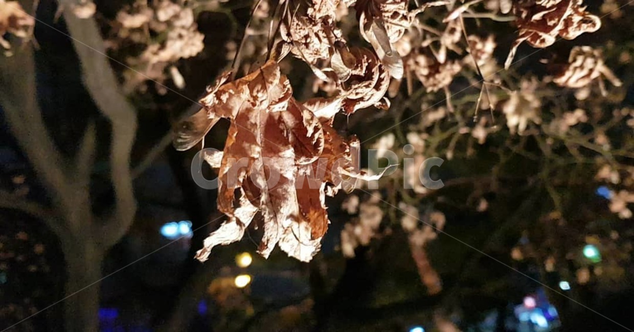 nature,자연,outdoors,옥외,ice,빙