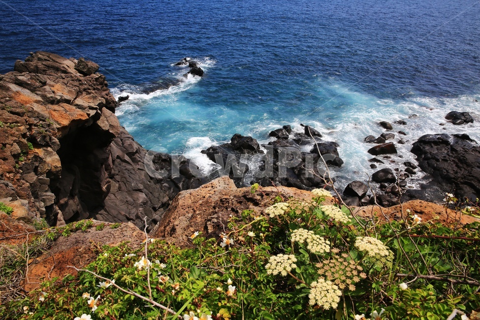 promontory,곶,nature,자연,water,물,outdoors,옥외,ocean,대양,sea,바다,제주,큰엉,큰엉해변,해변,해안가,큰엉해안,서귀포,자연,풍경,nature,landscape