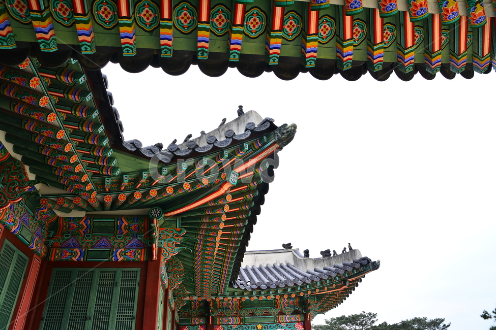 단청,패턴,전통,고궁,문양,칼라풀,colorful,한국적,코리안,pattern,texture,korean,tour,관광지,서울,창경궁,경복궁,보존,culture,traditional,기하학,추상,배경,바탕,백그라운드,background,디자인,라인,선,면,무늬,리듬,역사,문화유산,아름다움,한국의미,장인,east,동양적,아시아,빈티지,vintage,앤틱,유물,기와,기와집,처마,지붕,beautiful,한국전통,한국문화,korean traditional,korean culture,랜드마크,landmark,tourist attraction,한국랜드마크,한국관광지,한국명소,korea landmark,korea tourist attraction,건축물,건물외관,exterior,building,structure,architecture,construction