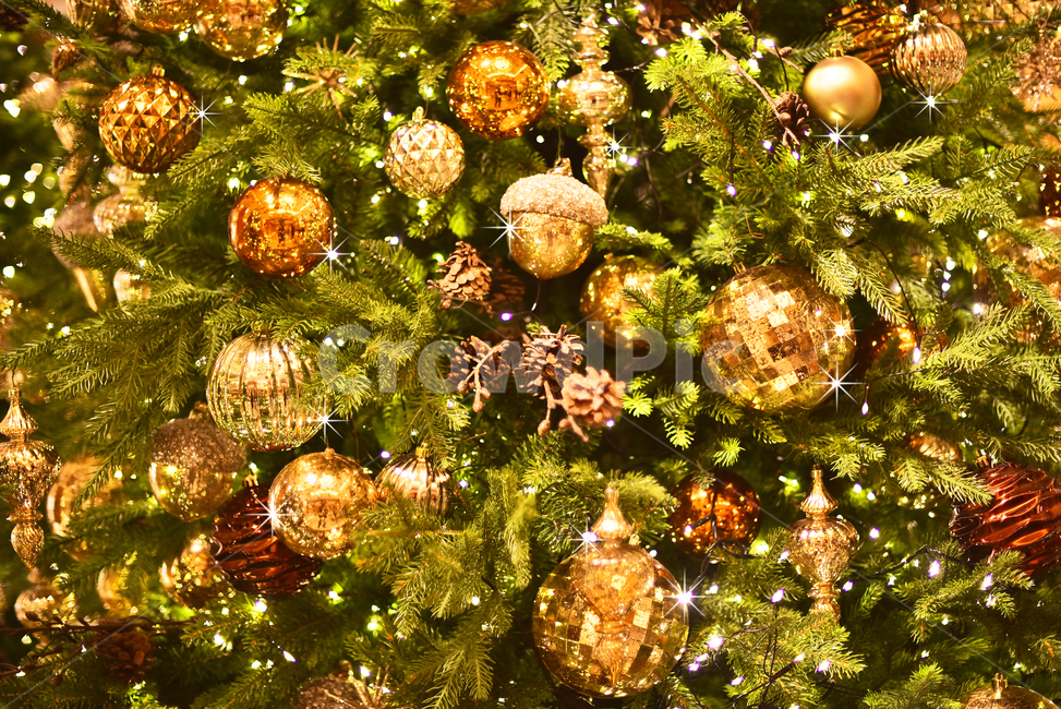 크리스마스,성탄트리,년말장식,성탄절,christmas,xmas,decoration,tree,ball,성탄볼,보케,빛망울,화려한,칼라풀,조명,불빛,라이트,색감,colorful,light,bokeh,배경,바탕,백그라운드,background,나무,장식,christmastree,크리스마스트리,plant,식물,메리크리스마스,성탄절,merry christmas