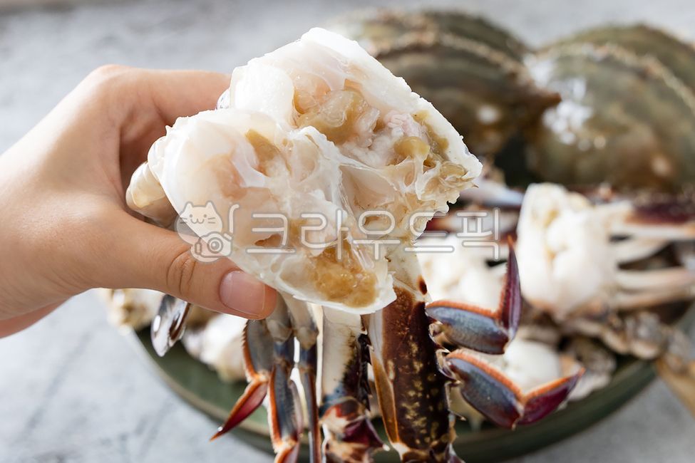 꽃게, 절단꽃게, 손질꽃게, 꽃개, 게, 사진,이미지,일러스트,캘리그라피 - 돌프작가