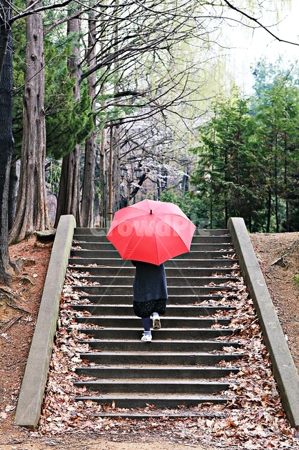 공원,인천대공원,빨강우산,풍경,자연,배경
