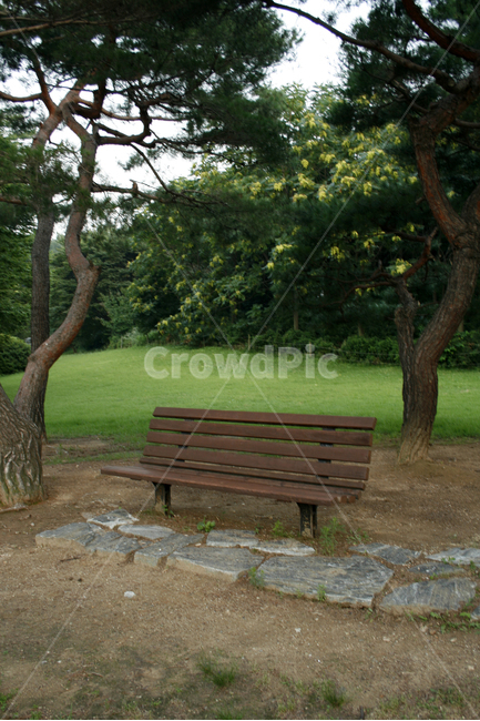 공원,의자,휴식,나무,힐링,잔디,자연,풍경,nature,landscape,휴식,힐링,rest,relaxation,healing,bench,벤치,park bench,공원 벤치