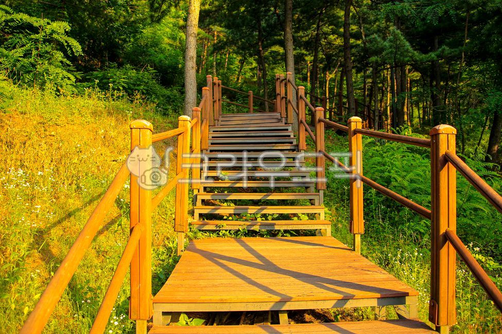 handrail,nature,stairs,trees,trail,walking trail,outdoors,Gaeunsan Mountain,plants,railing,wood,bridge,boardwalk,park