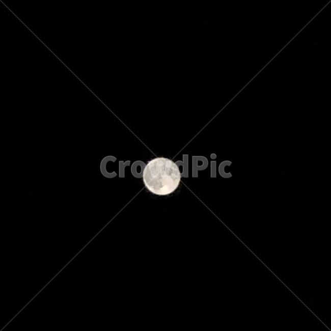 자연,달,보름달,밤,moon,자연,풍경,nature,landscape,outdoors,옥외