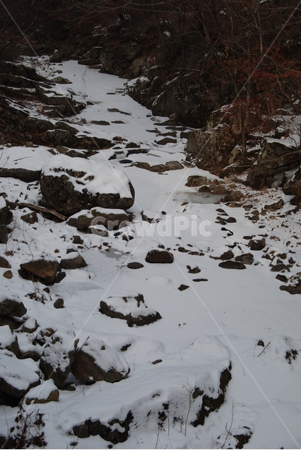 겨울,산,설경,등산로,나무,겨울,계절,winter,season,자연,풍경,nature,landscape,mountain,outdoors,옥외