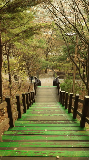 낙산공원,계단,자연,녹색,휴식,공원,자연,풍경,nature,landscape,handrail,난간,banister,staircase