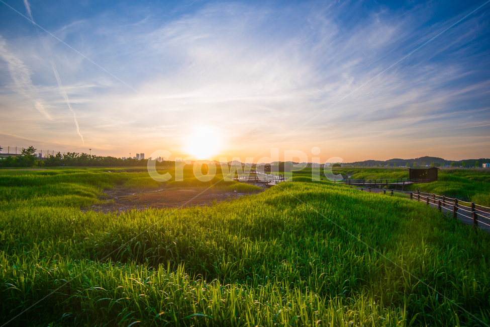 일몰,sunset,하늘,landscape,자연,한국자연,시흥갯골생태공원,자연,풍경,nature,landscape,한국자연풍경,한국자연경관,korea nature landscape,grassland,목초지,outdoors,옥외,field,들