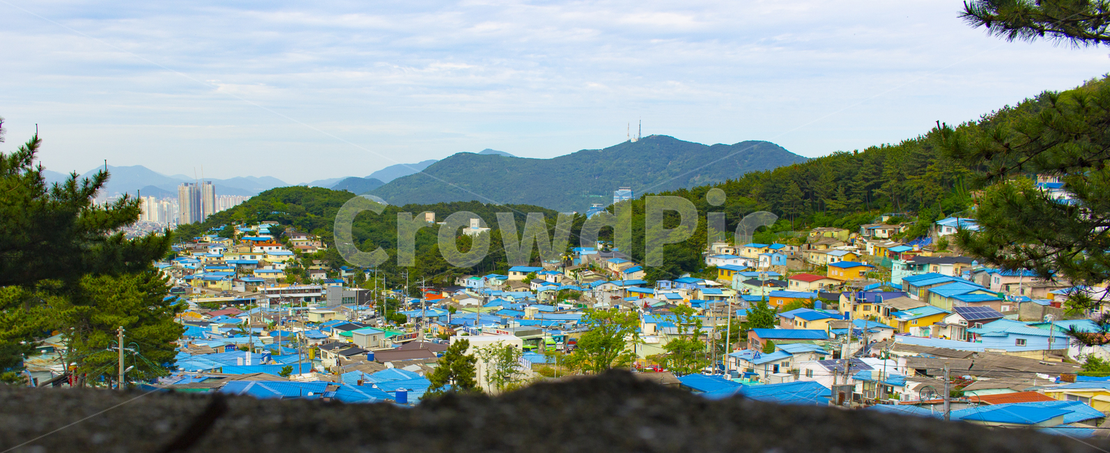 nature,자연,outdoors,옥외,산복도로,달동네,마을,부산,경치,도심