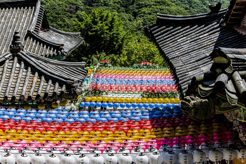 청계사,연등,기와,지붕,사찰,불교,기념일,전통건축,한국전통,한국문화,korean traditional,korean culture,종교,신앙,religion,belief,faith,축제,행사,festival,carnival,event
