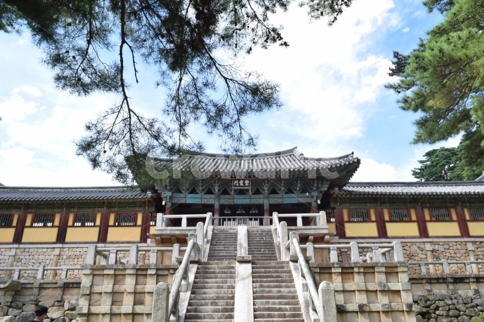 불국사,경주,대웅전,한국,풍경,건물,city,landscape,nature,feeling,Film,beautiful,photography,Korea,Asia,Temple