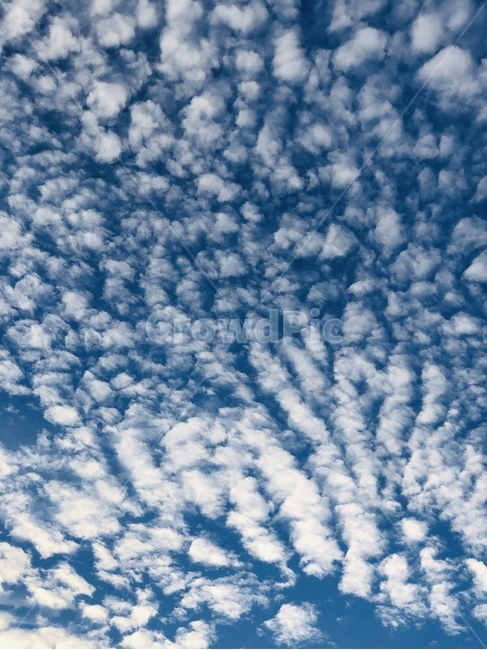 구름,청결함,하늘,물결구름,sky,푸른하늘,자연,풍경,nature,landscape,outdoors,옥외,azure sky,푸른 하늘