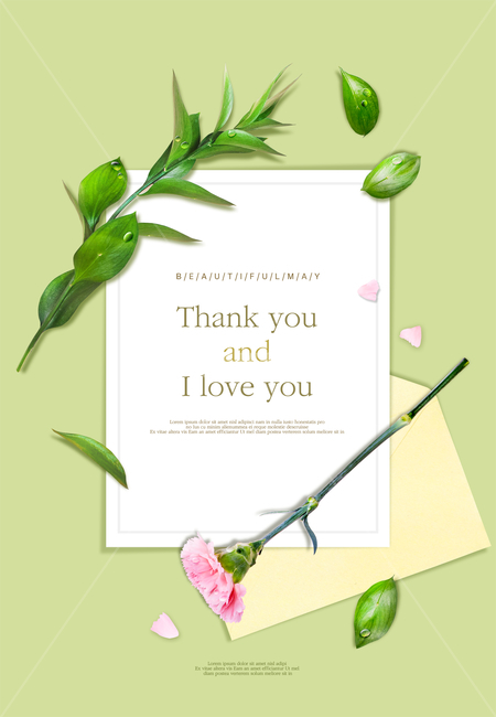 꽃,카네이션,나뭇잎,봄,프레임,꽃,flower,가족,패밀리,family,기념일,축하,anniversary,congratulation,celebrate,celebration,그래픽,일러스트레이션,graphic,illustration