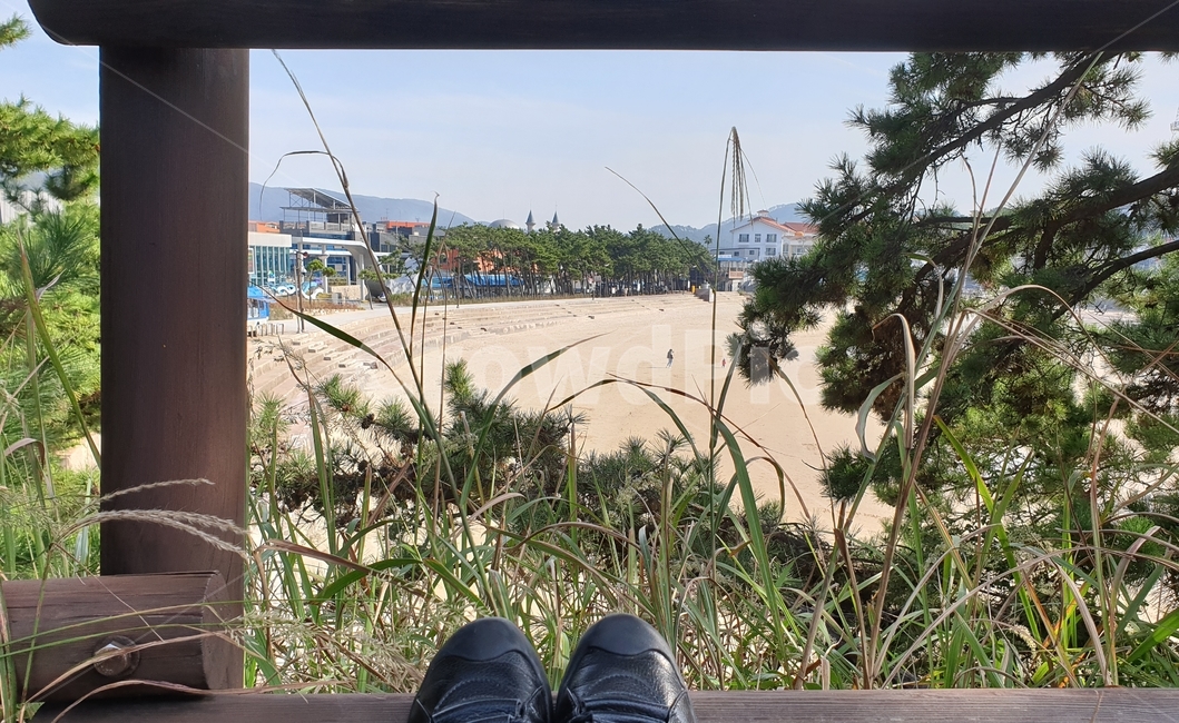 정자,신발,나무,여행,부안
