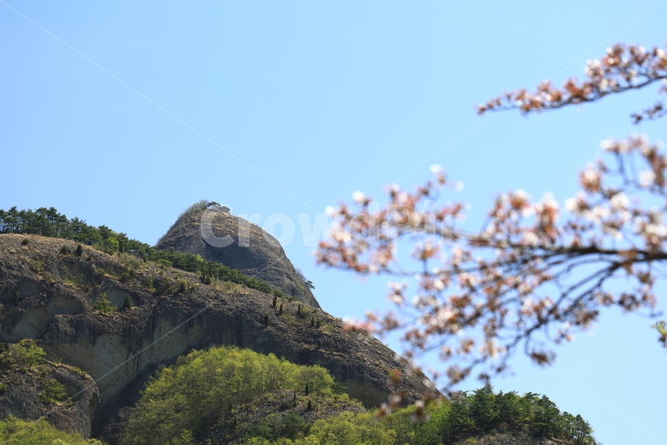 마이산,산,자연,꽃,봄,spring,nature,mountain,flower,봄,계절,spring,season,자연,풍경,nature,landscape,한국자연풍경,한국자연경관,korea nature landscape