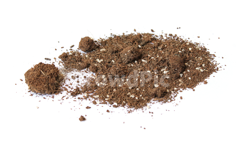흙,모래,soil,sand,soiltexture,덩어리,탑앵글,흰배경,누끼,가루,흙가루,모래가루,갈색,브라운,텍스춰,건조한,black,botany,brown,closeup,compost,dark,dirt,dirty,dry,dust,grain,heap,humus,ingredient,macro,mineral,nobody,object,organic,path,powder,splash,spray,texture,topview,toxic,뿌린,누끼,remove background