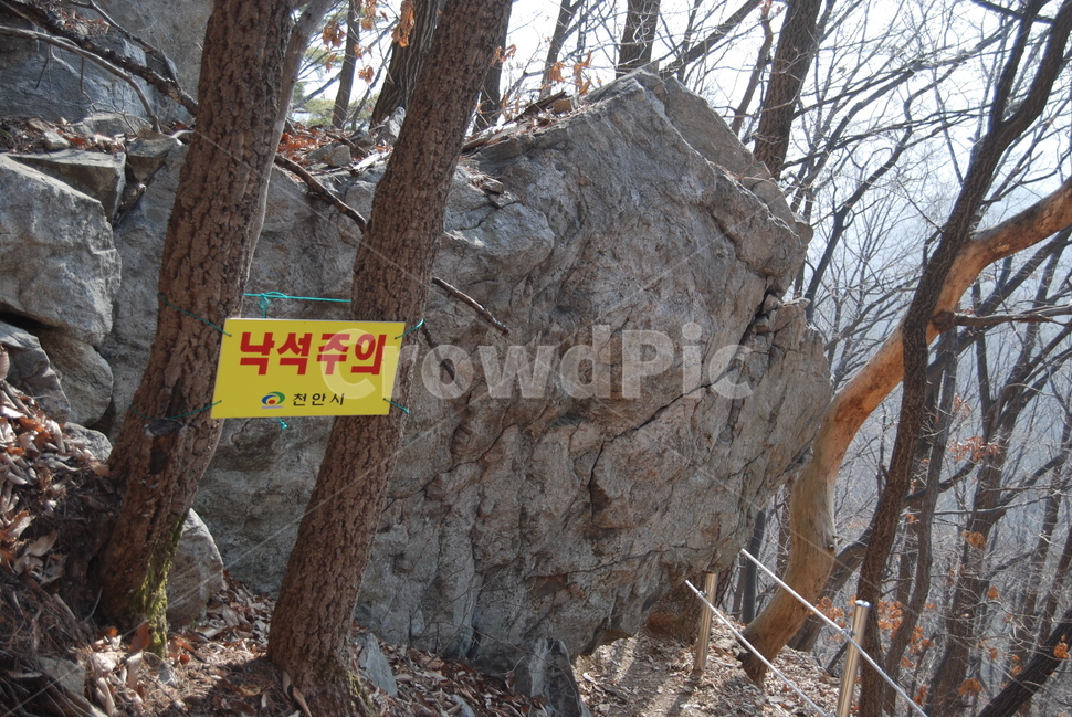광덕사,장군바위,박씨샘,자연의위대함,등산로,능선,아름다움,신비스런산,돌,산행,힐링,자연,감성,등산,계절,여행,한국,한국명산,한국등산,풍경,눈,나무,하늘,바람,바람소리,환경,생태계,산,땅,자연,풍경,nature,landscape,한국자연풍경,한국자연경관,korea nature landscape,plant,식물,tree,tree trunk,나무 줄기