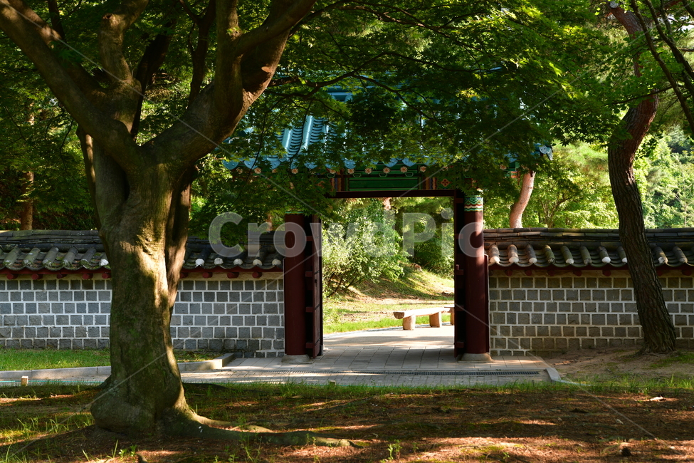 기와문,나무,그늘,풍경,나무의자