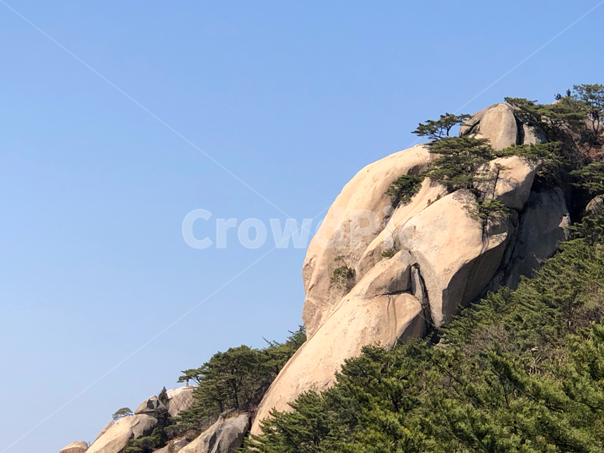 절벽,소나무,바위,배경,산,수락산,숲,하늘,푸른,여백,cliff,pine,pinetree,rock,mountain,background,자연,nature,옥외,outdoors,낭떠러지