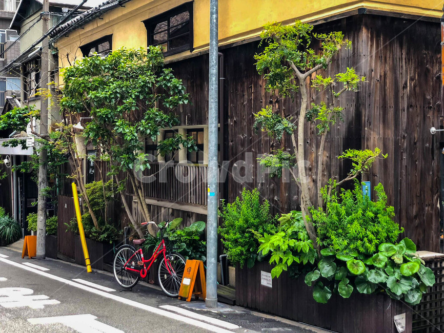 bike,transportation,교통,bicycle,자전거,vehicle,차량,wheel,바퀴,pottedplant,화분,plant,식물