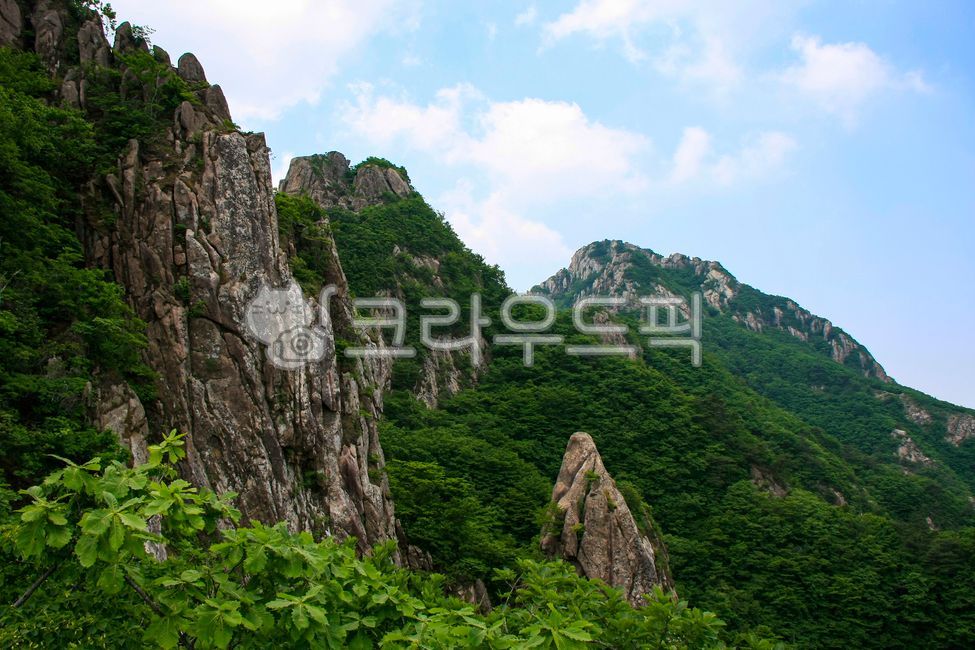 sky,A national park,famous mountain,nature,cliff,summer mountain,tree,slope,fresh green,rock wall,rock,cloud,Wolchulsan Mountain,mountain,Made in Korea,outdoors,summer scenery