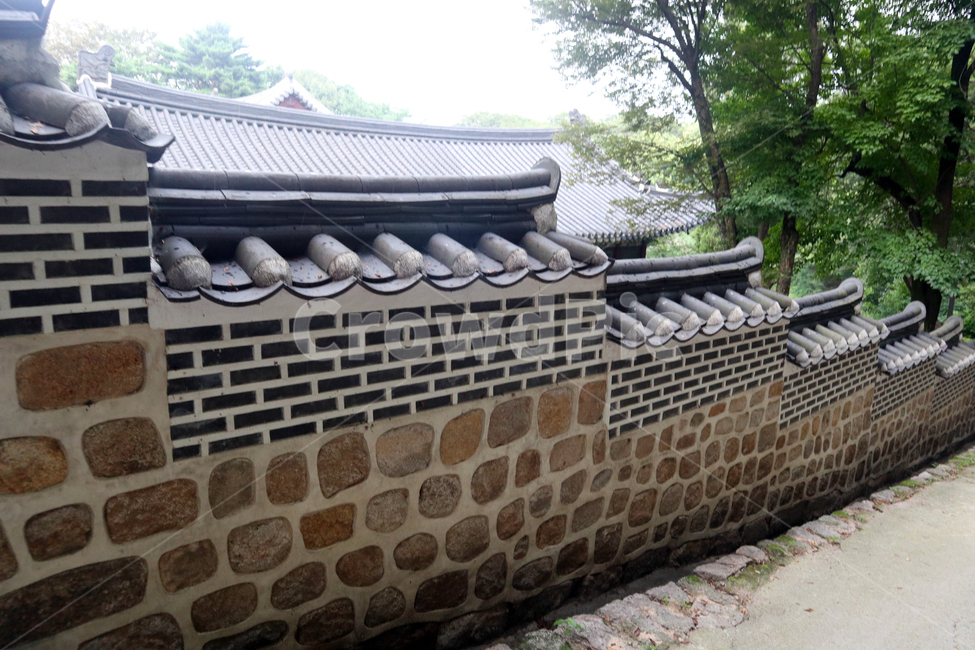 창덕궁,후원,한국의궁,세계문화유산,문화유산,한국건축물,건축외관,과거,지붕,궁궐,서울,관광,나무,하늘,숲,비원,한국랜드마크,랜드마크,한국관광지,한국명소,유형문화재,처마,돌담,기와