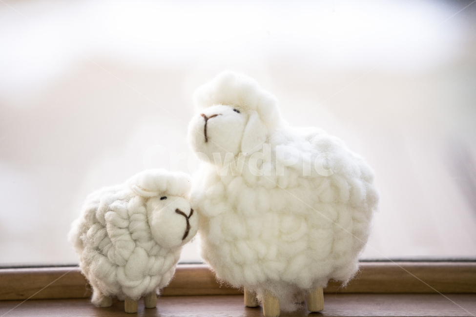 양인형,sheep,봉제인형,doll,동물인형,감성,sensible,feeling,인테리어,실내디자인,interior design,사물,물건,오브젝트,thing,object,matter