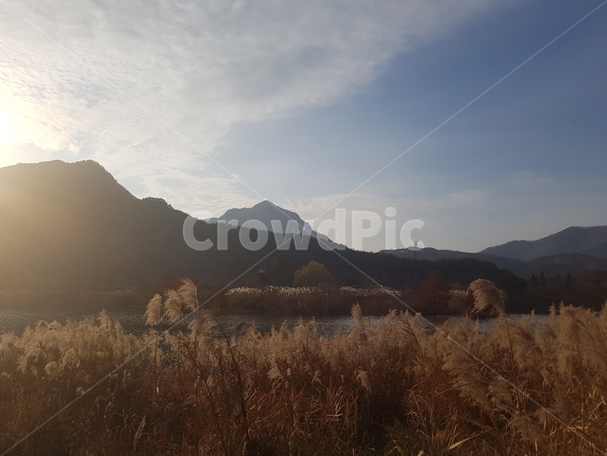 가을,가을하늘,풍경,자연,갈대,가을,계절,fall,autumn,season,자연,풍경,nature,landscape,light,빛,flare,플레어,outdoors,옥외,sunlight,햇빛