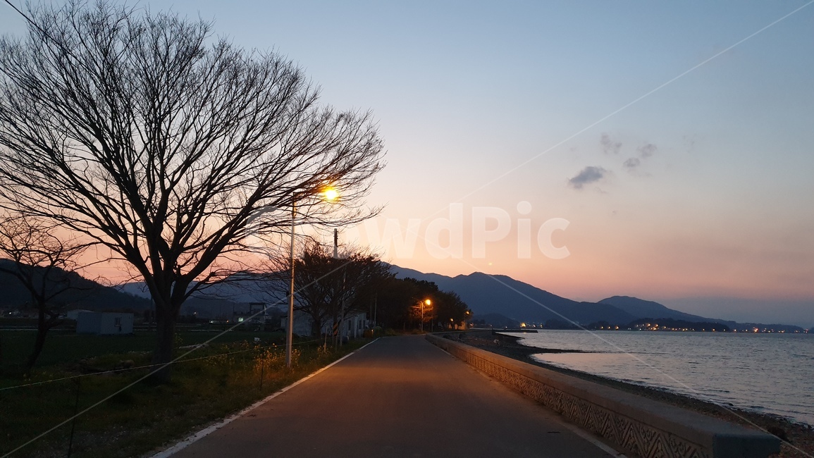 해안도로,노을,산,바다,해질녘,가로등,자연,natuar,앙상한나무,나뭇가지,나무,sea,불빛,자연,풍경,nature,landscape,asphalt,아스팔트,road,도로